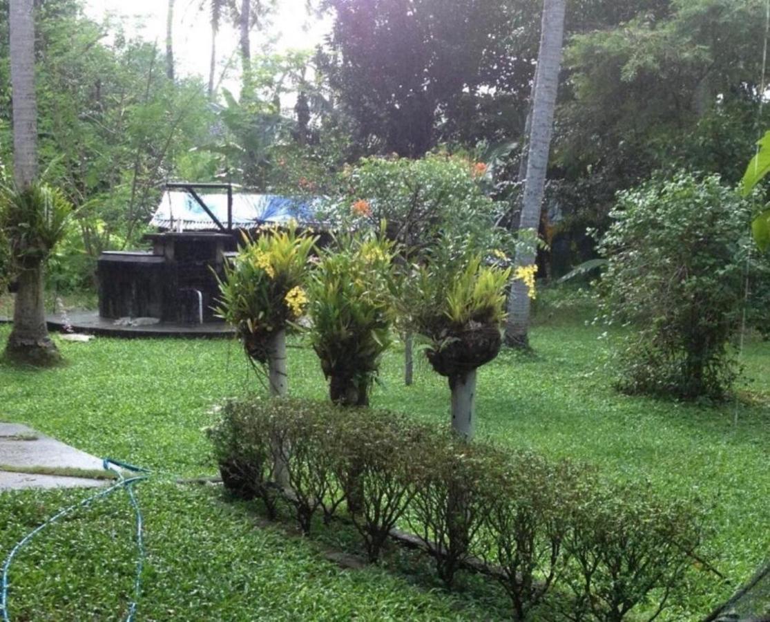 White Butterfly - A Countryside Homestay تريفِندرم المظهر الخارجي الصورة
